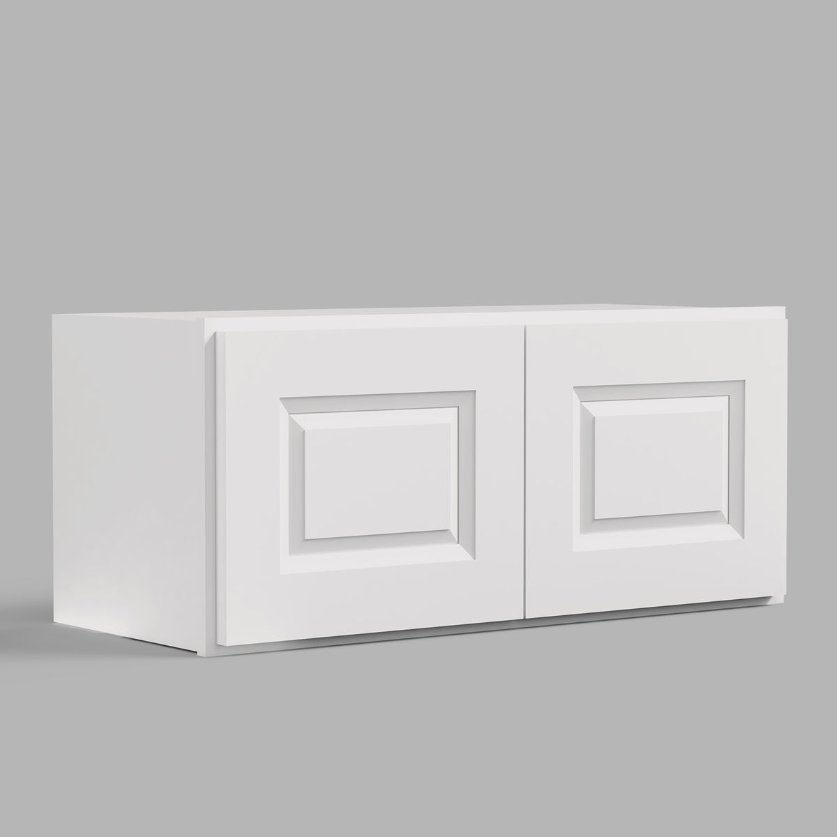 W Series Wall Cabinet with 2 Doors and no shelf