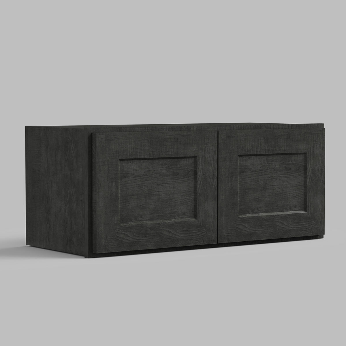 W Series Wall Cabinet with 2 Doors and no shelf