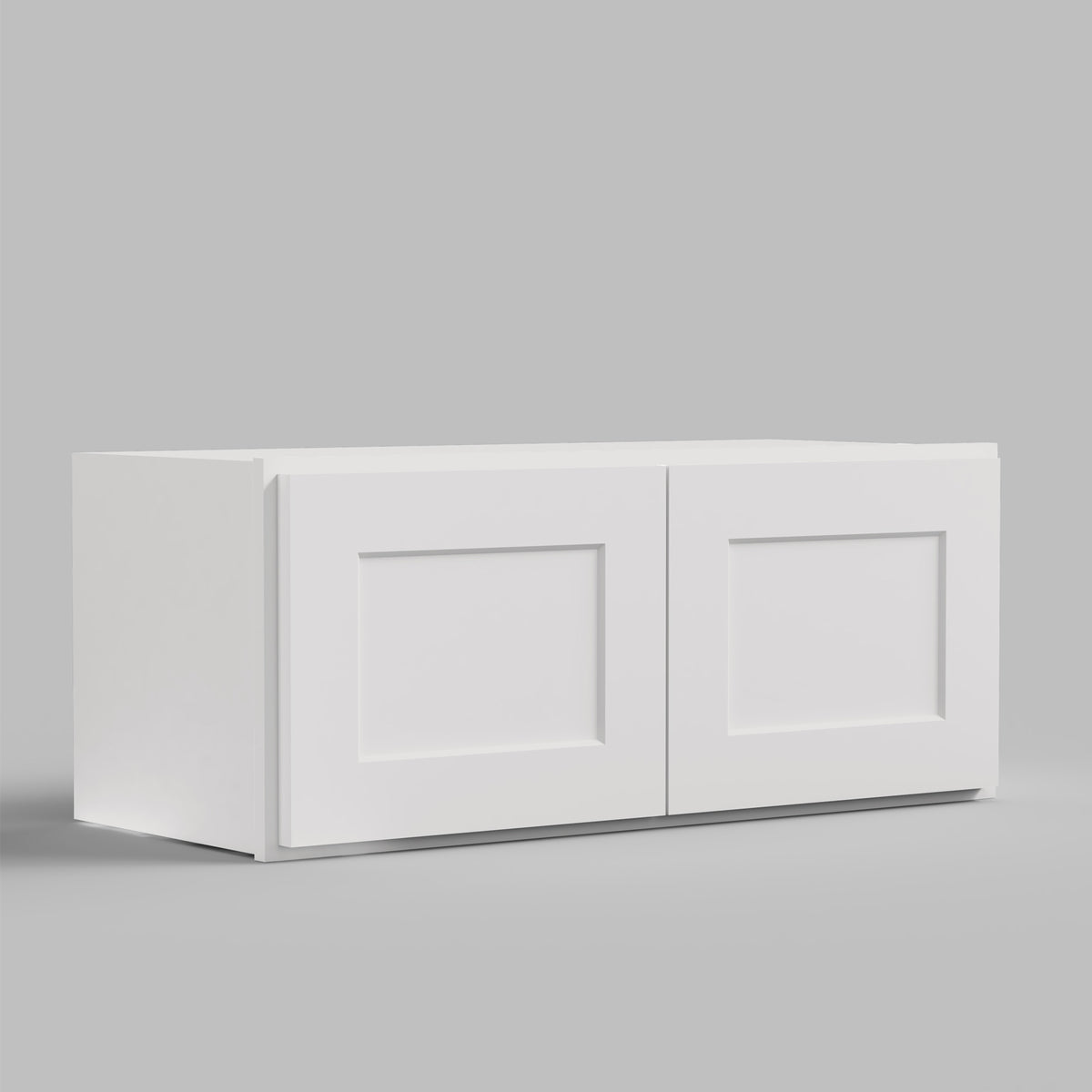 W Series Wall Cabinet with 2 Doors and no shelf