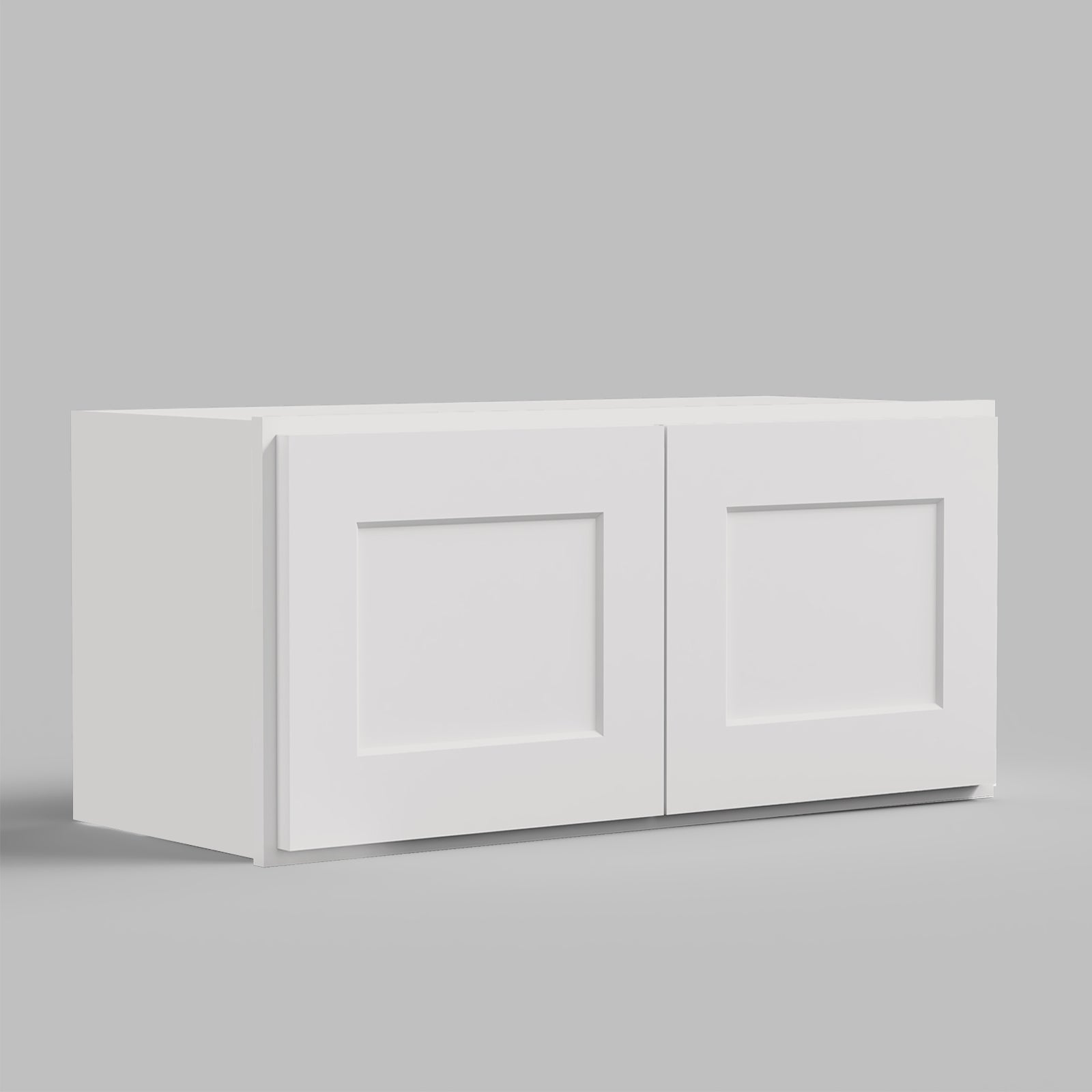 W Series Wall Cabinet with 2 Doors and no shelf