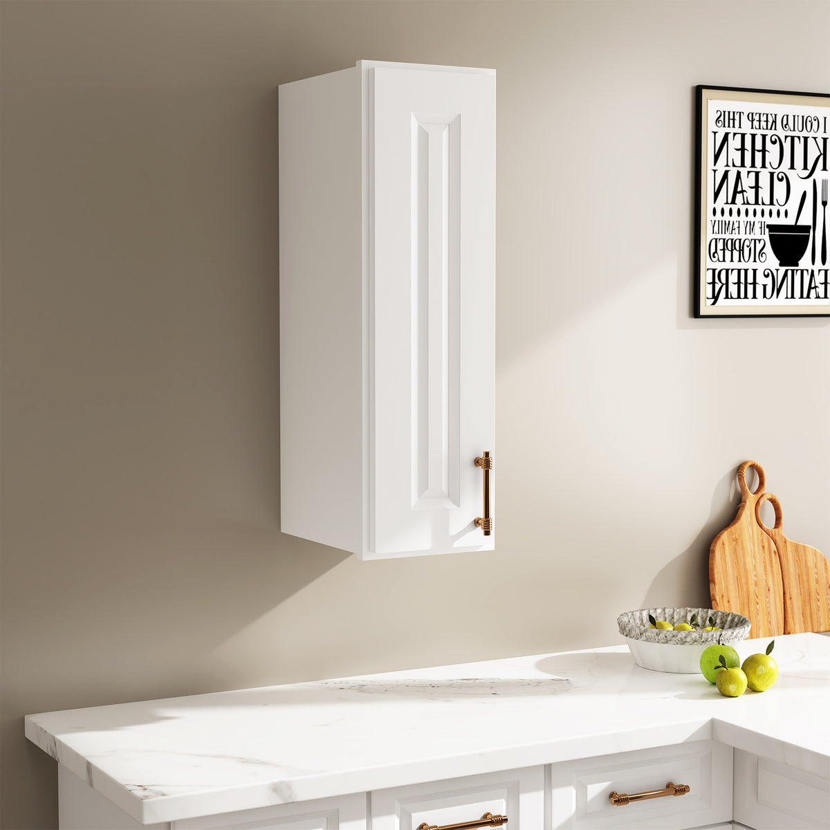 W Series Wall Cabinet with 1 Door and shelves-5