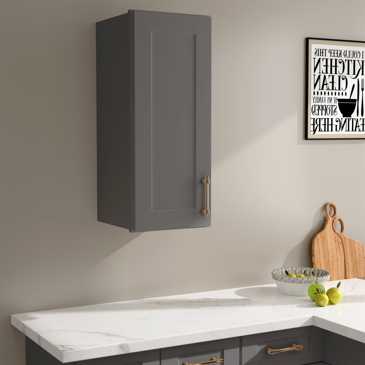 W Series Wall Cabinet with 1 Door and shelves-4