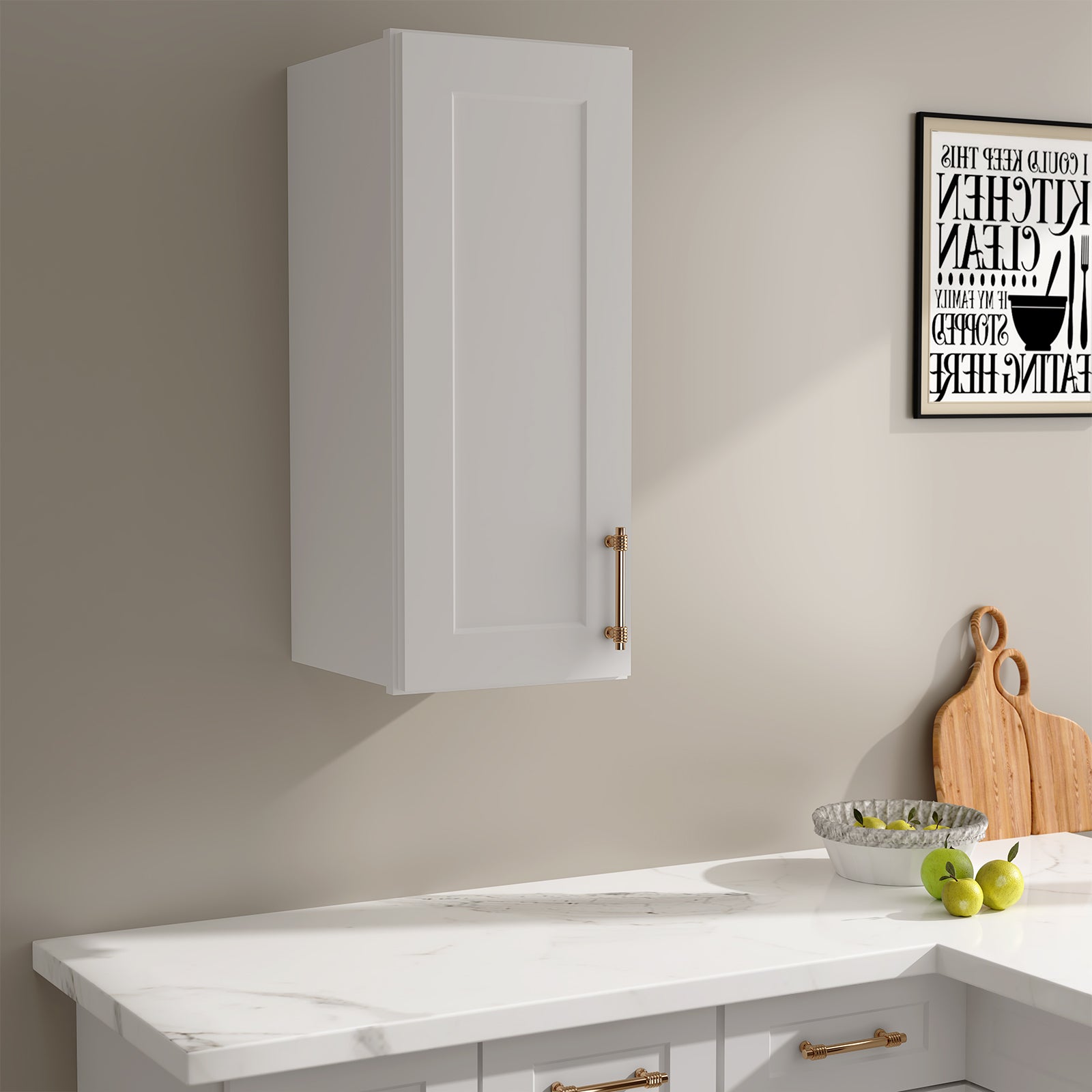 W Series Wall Cabinet with 1 Door and shelves-4