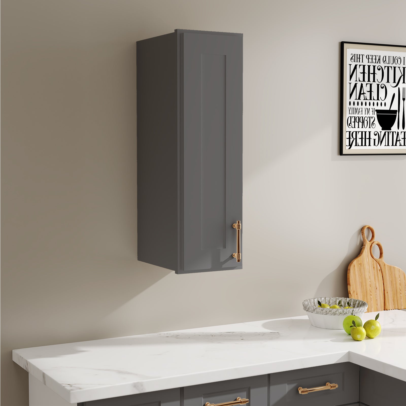 W Series Wall Cabinet with 1 Door and shelves-4