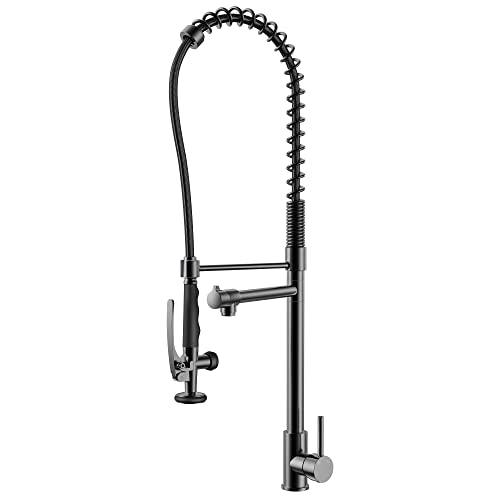 Single Handle Kitchen Faucet with Pull Down Sprayer