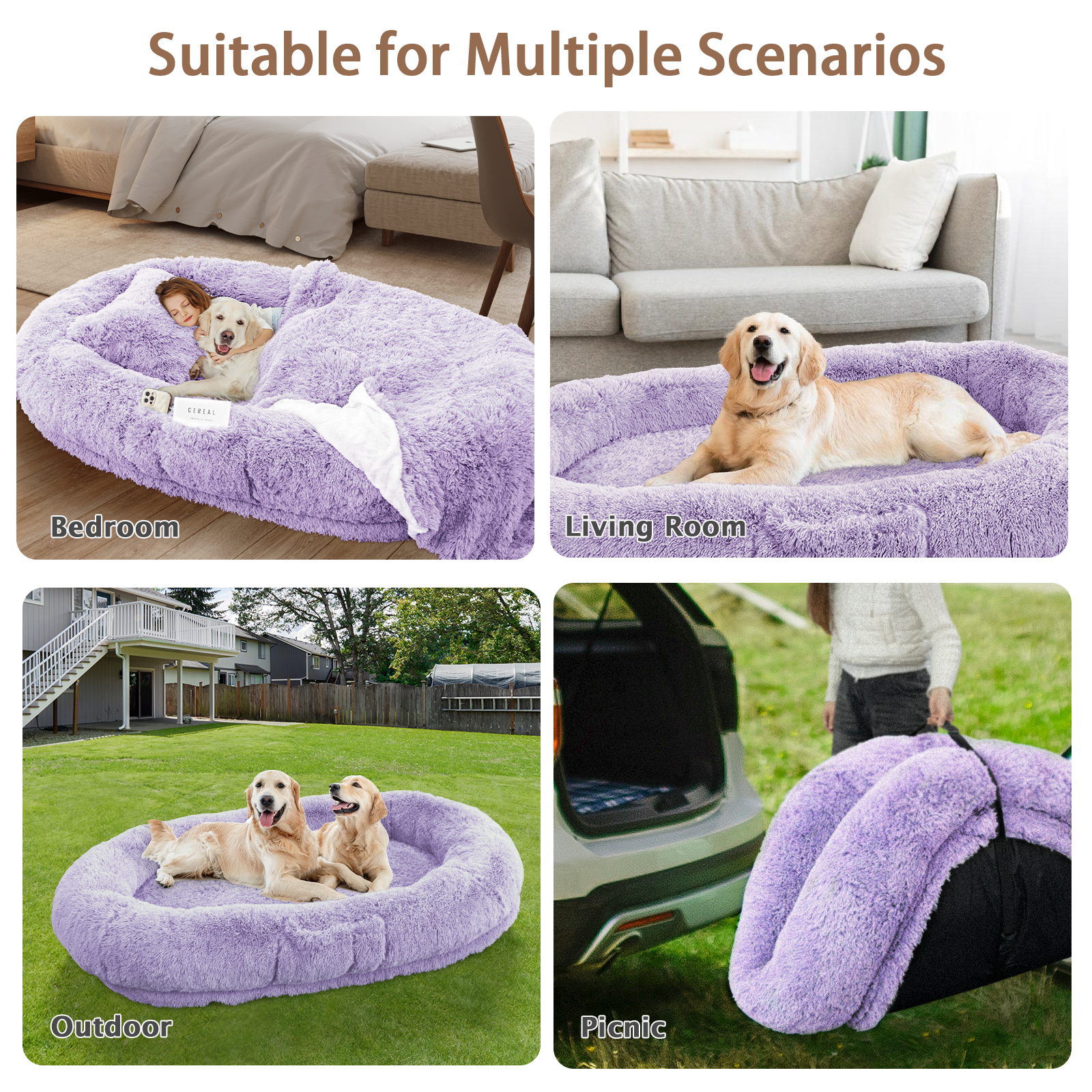 Memory Foam Washable Dog Bed