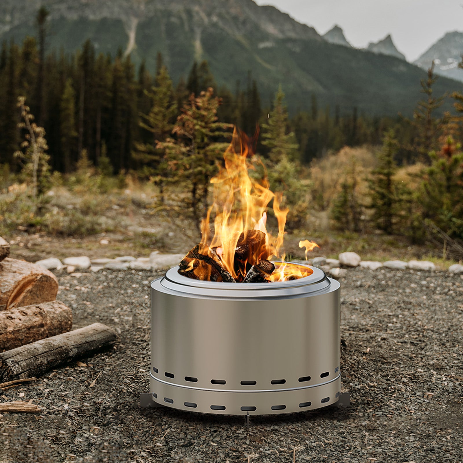 Stainless Steel Wood Burning Outdoor Fire Pit