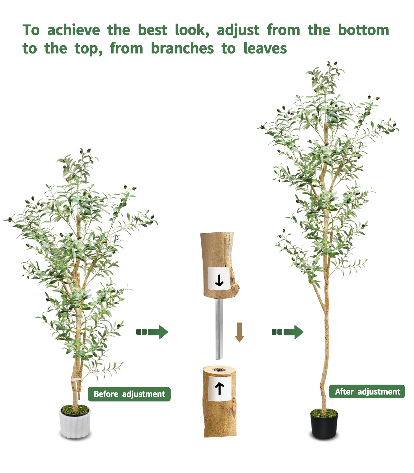 94 inches Olive Tree