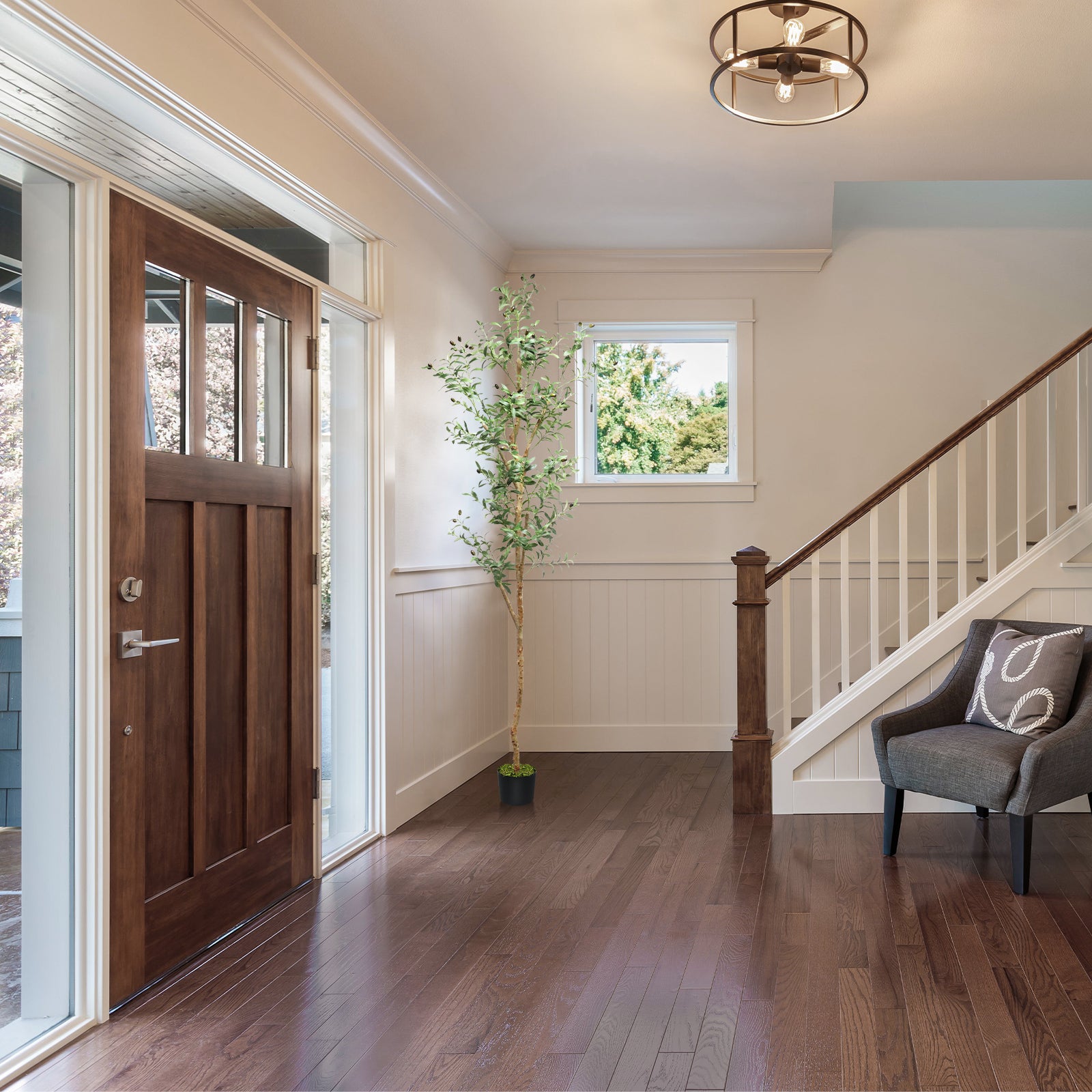 94 inches Olive Tree