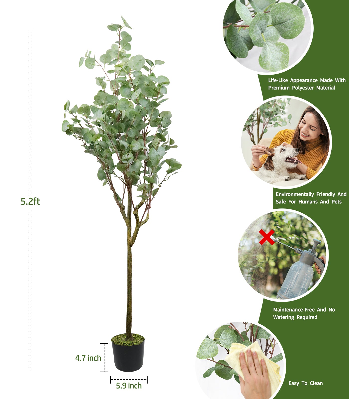 63in Eucalyptus Tree