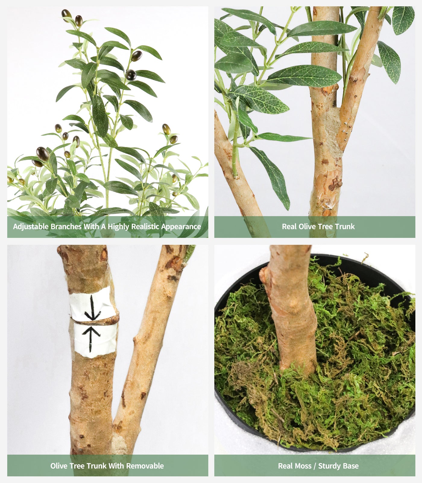 94 inches Olive Tree