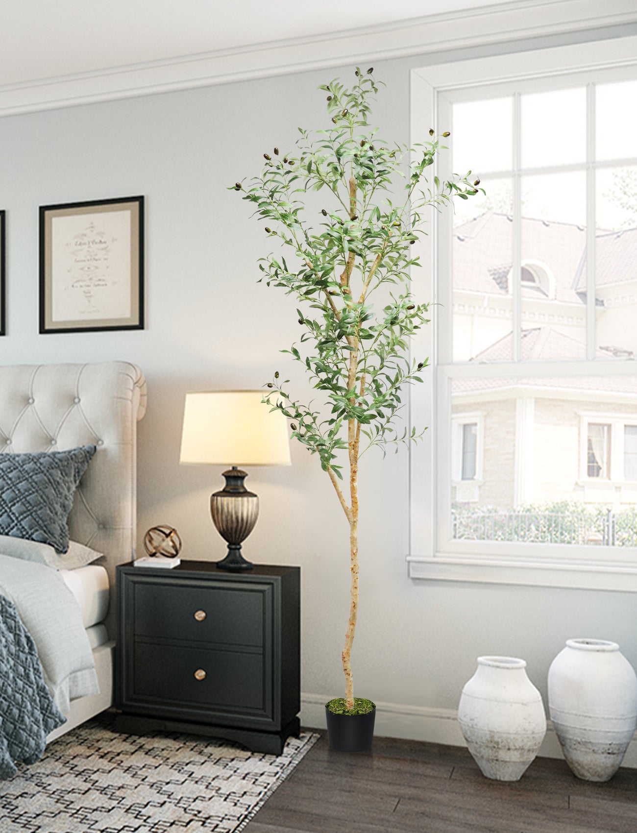 94 inches Olive Tree