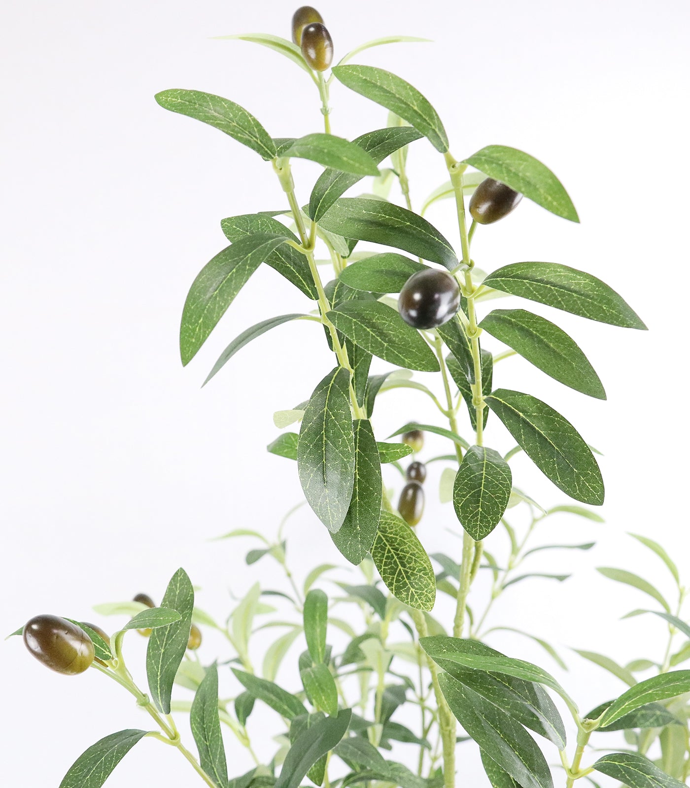 94 inches Olive Tree