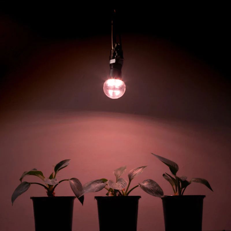 40-Watt E26 52.54 PPF Wide Spectrum Grow Light Bulb with E26 Base for Plant Growing, a Light Bulb Included (4-Pack)