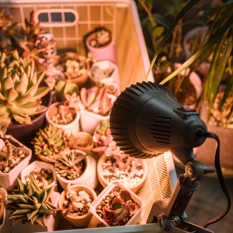 40-Watt E26 52.54 PPF Wide Spectrum Grow Light Bulb for Plant Growing, a Light Bulb Included, Easy Installation(4-Pack)