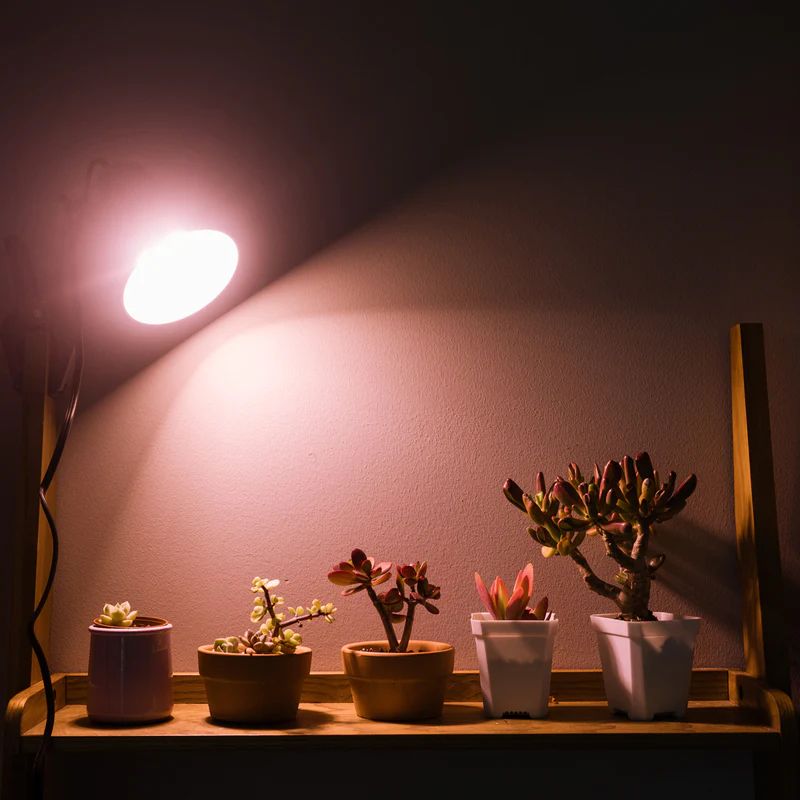 40-Watt E26 52.54 PPF Wide Spectrum Grow Light Bulb for Plant Growing, a Light Bulb Included, Easy Installation(4-Pack)