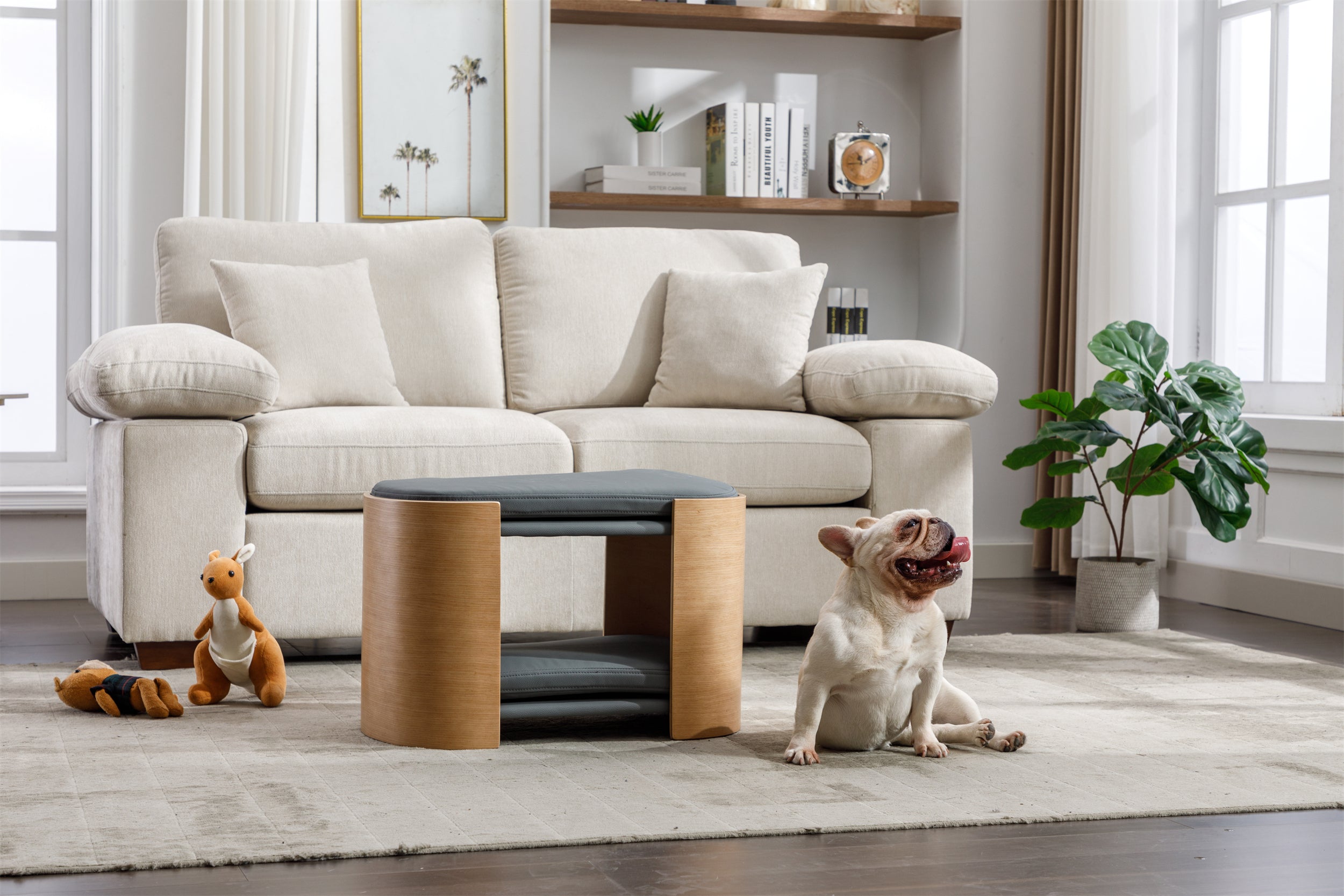 DOUBLE LIFT Cat Bed Pet Sofa With Solid Wood legs and Bent Wood Back, Cat Scratch Resistant PU Cushion,Mid Size,Dark Grey