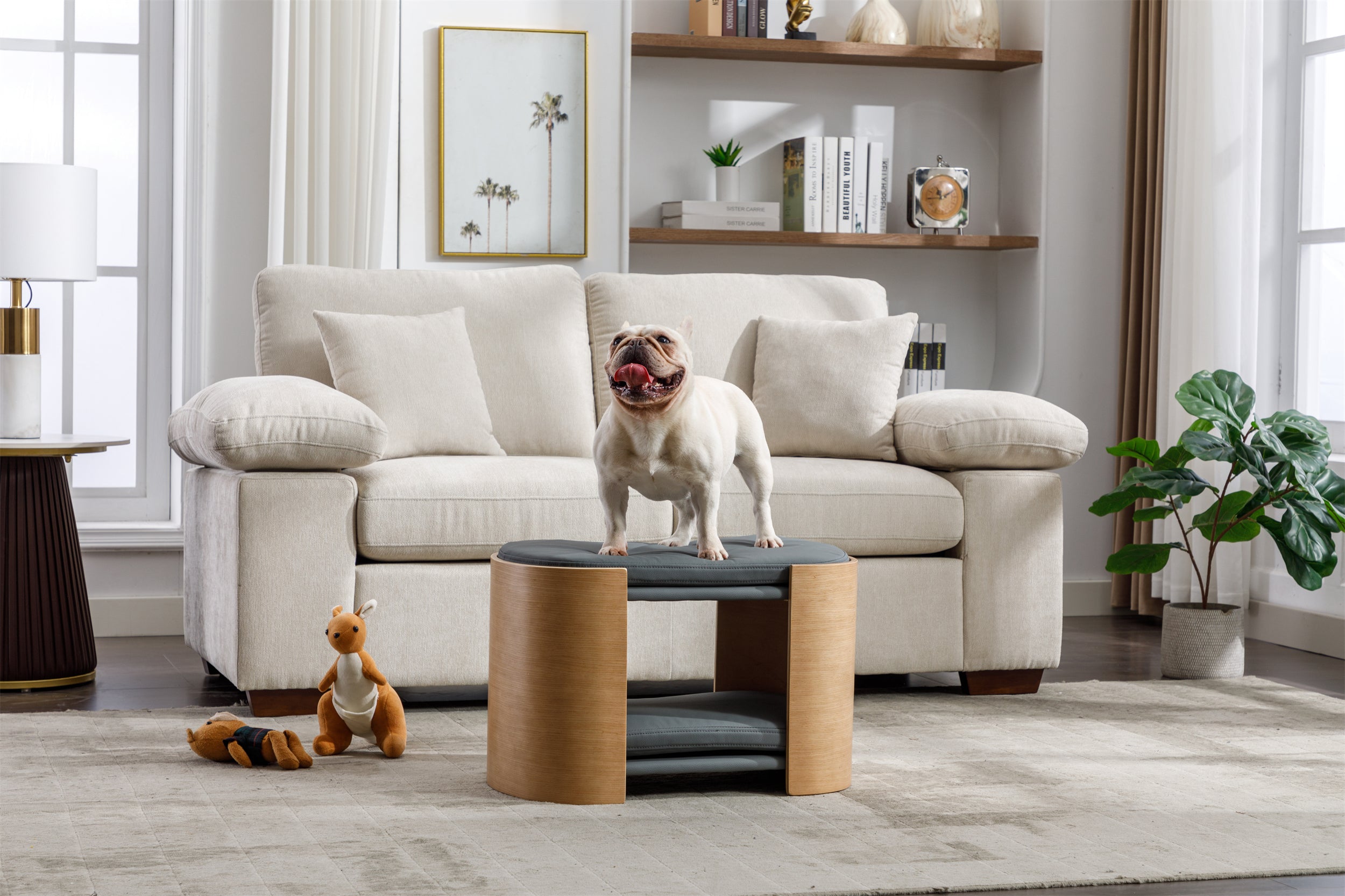 DOUBLE LIFT Cat Bed Pet Sofa With Solid Wood legs and Bent Wood Back, Cat Scratch Resistant PU Cushion,Mid Size,Dark Grey