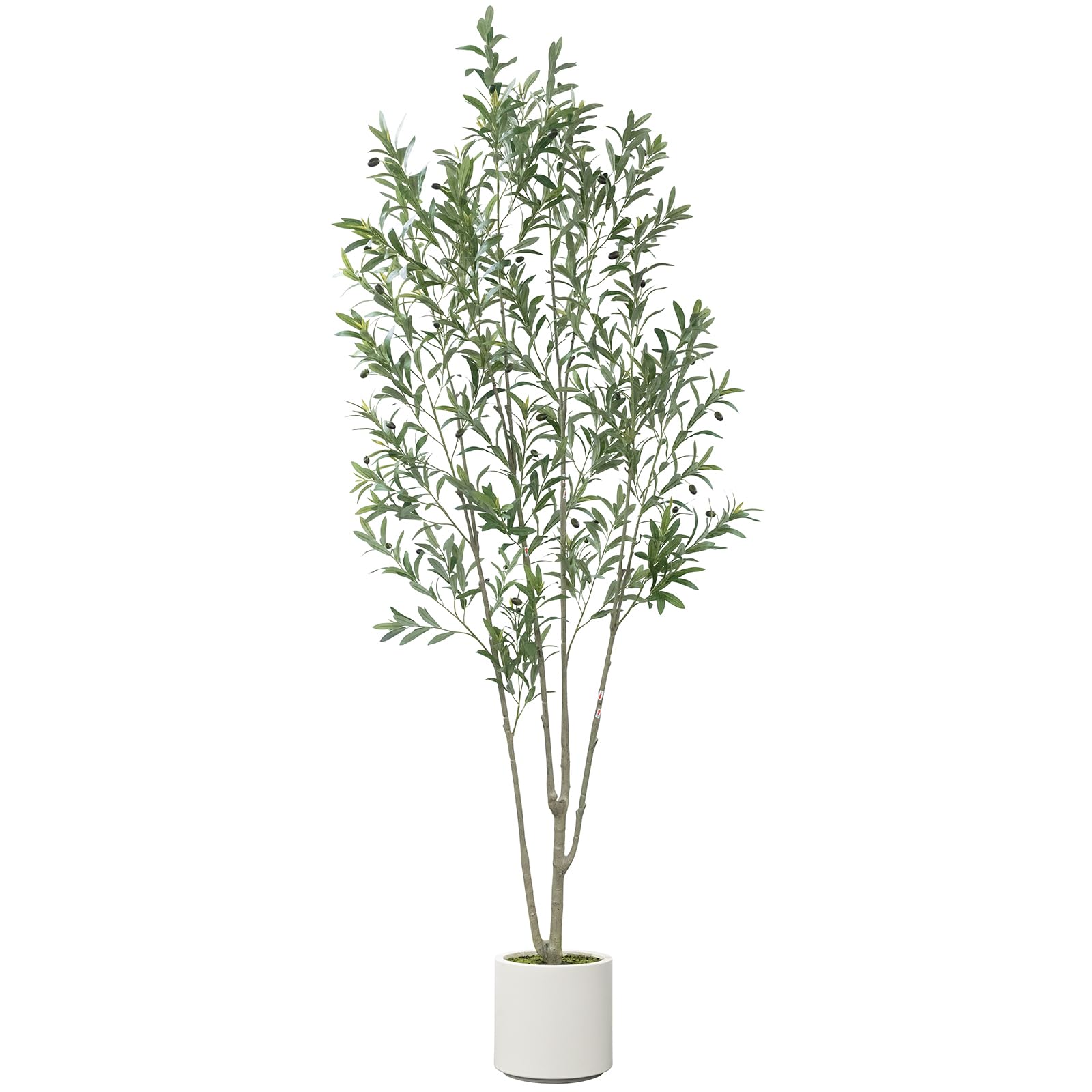 Olive Trees Artificial Indoor with Large White Planter and Natural Wood Trunk and Realistic Leaves