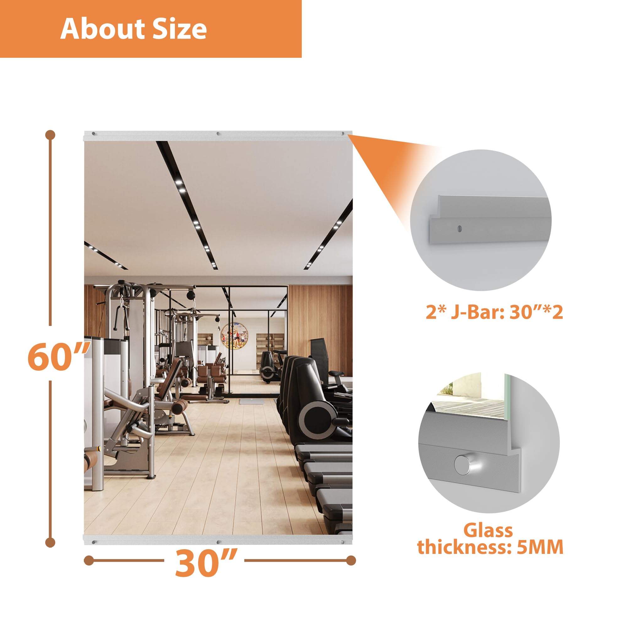Polished 30 in. W x 60 in. Modern Rectangular Tempered Glass Wall Mirror