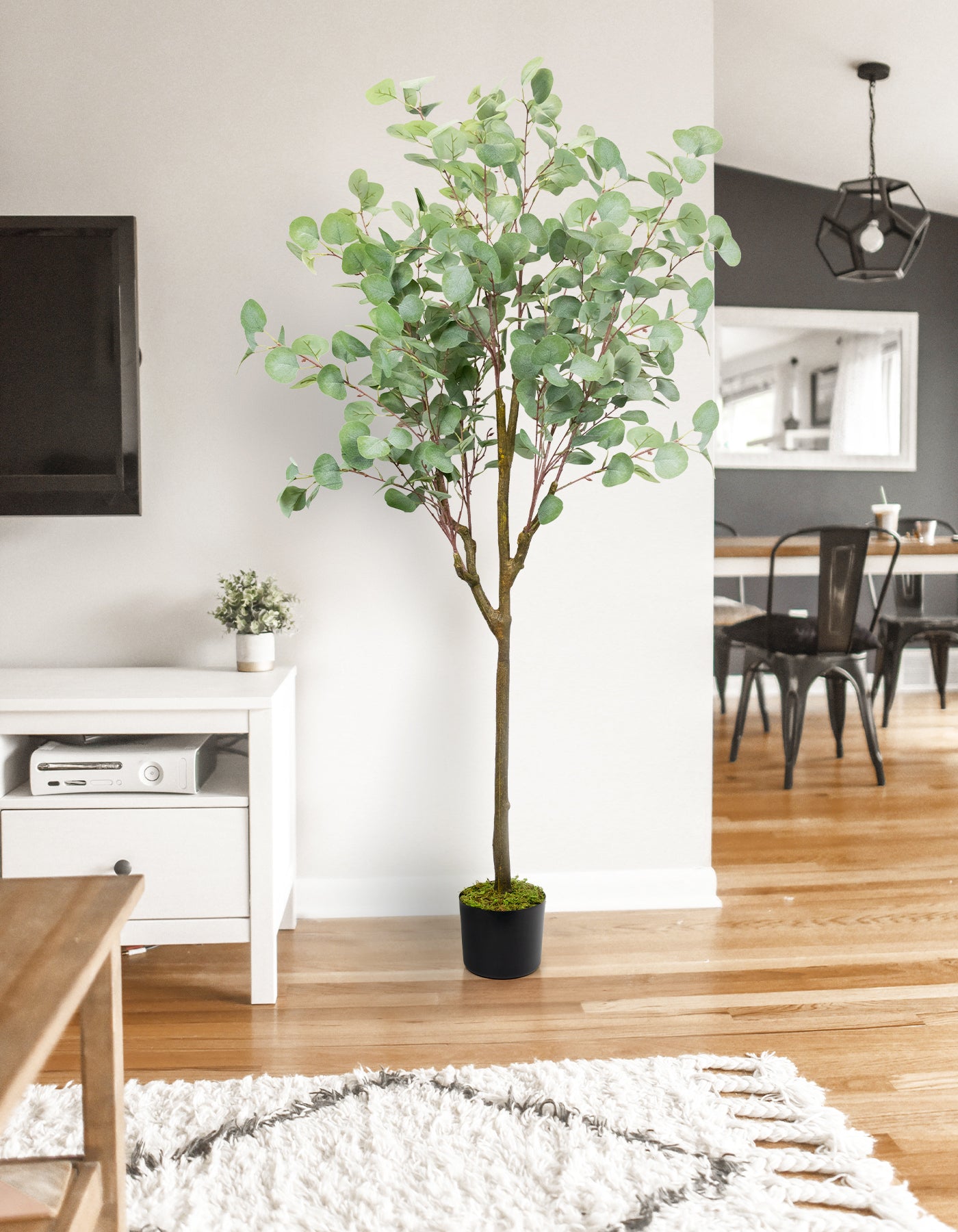 63in Eucalyptus Tree