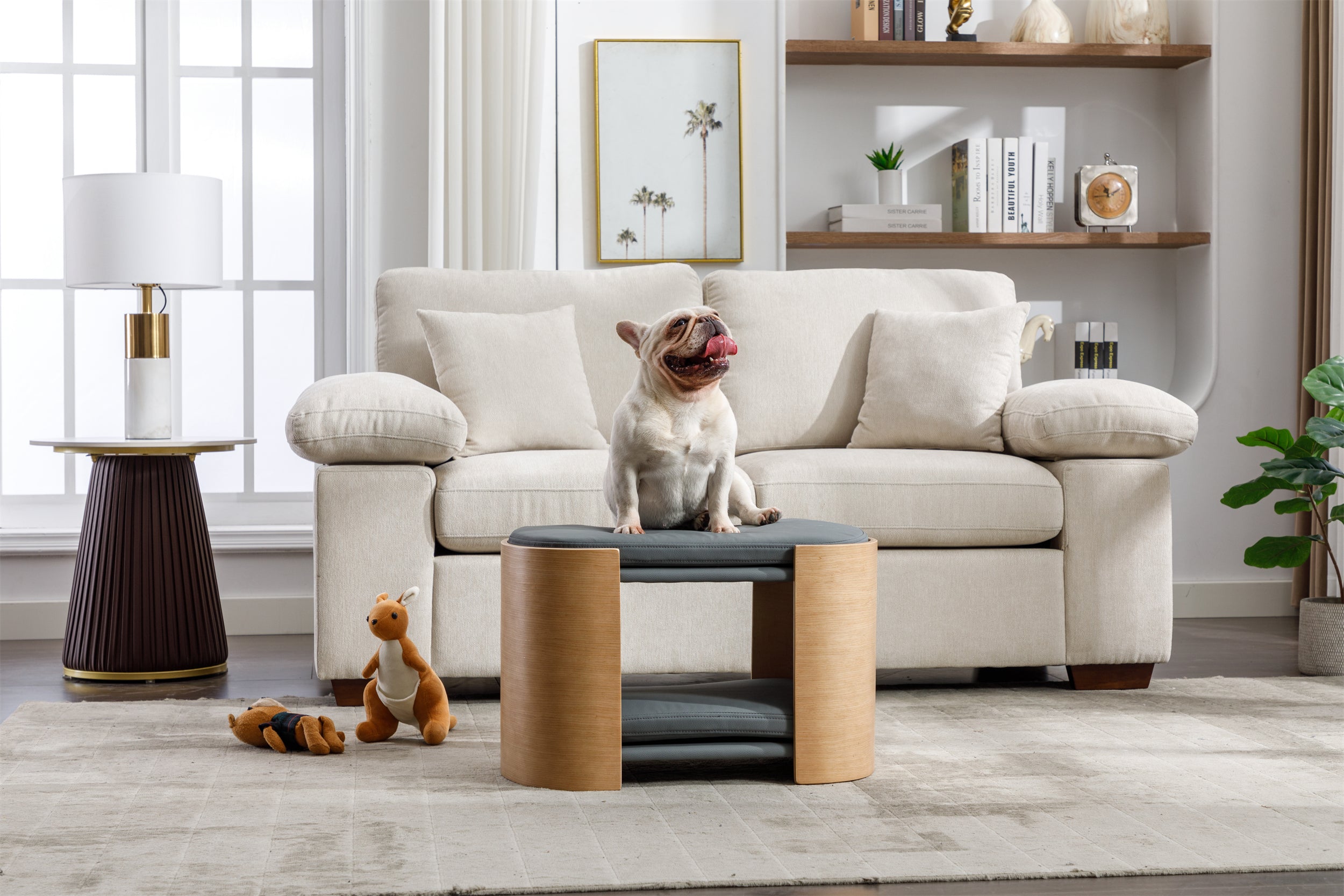 DOUBLE LIFT Cat Bed Pet Sofa With Solid Wood legs and Bent Wood Back, Cat Scratch Resistant PU Cushion,Mid Size,Dark Grey