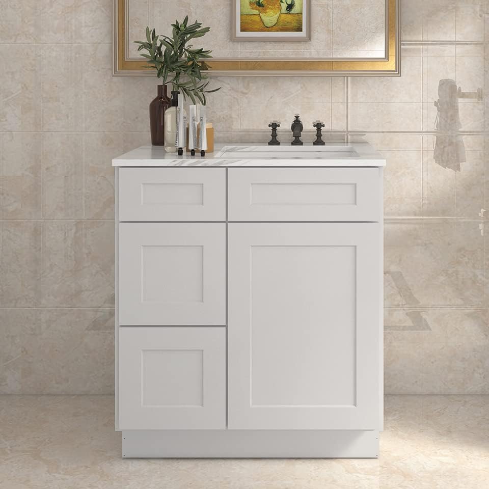 21"Dx30"Wx34-1/2"H Birch Solid Wood Bath Vanity Cabinet without Top V3021DL