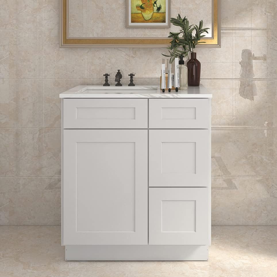 21"Dx30"Wx34-1/2"H Birch Solid Wood Bath Vanity Cabinet without Top V3021DR
