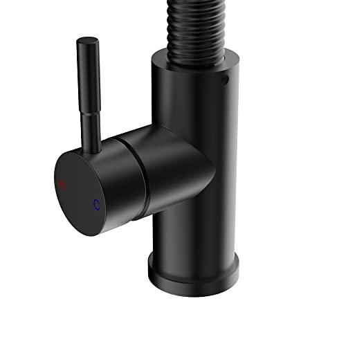 Kitchen Faucet with Pull-Down Sprayhead, Commercial Spring Kitchen Faucet, Modern Single Handle Kitchen Sink Faucet Black Buylikepro