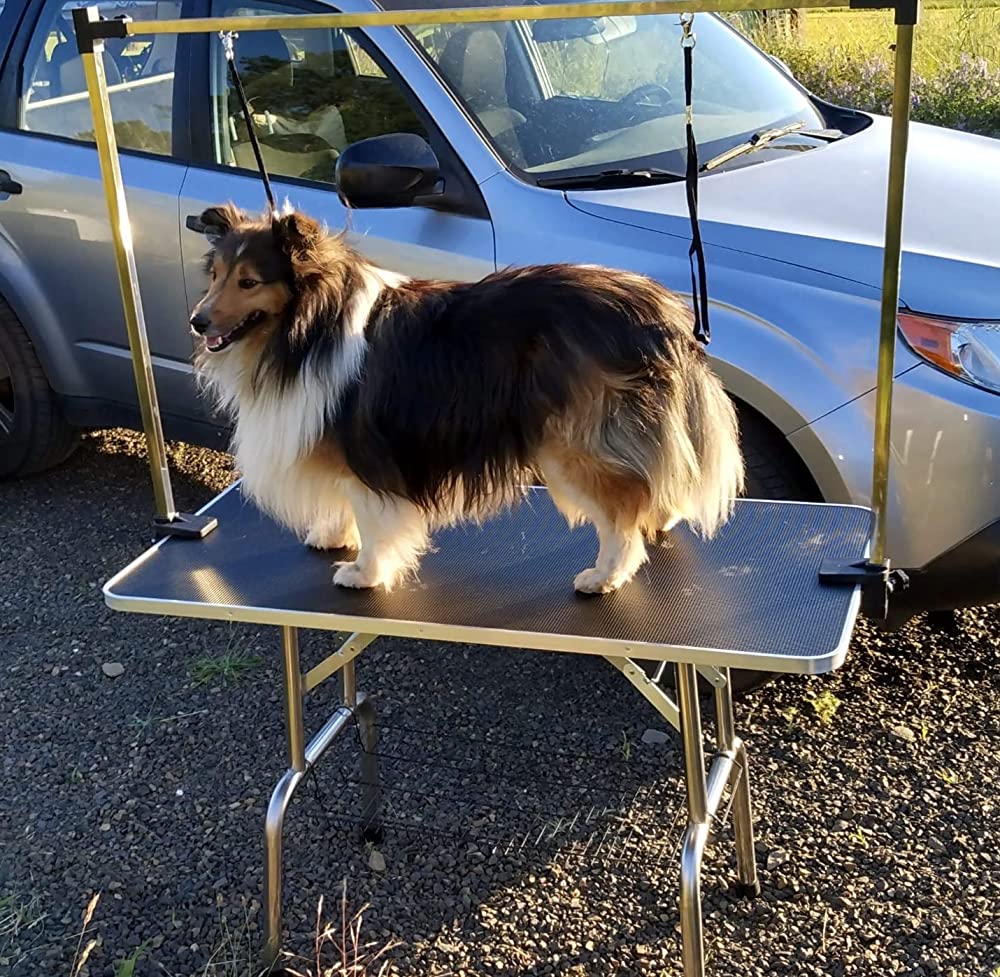 My dog and I both love this grooming table