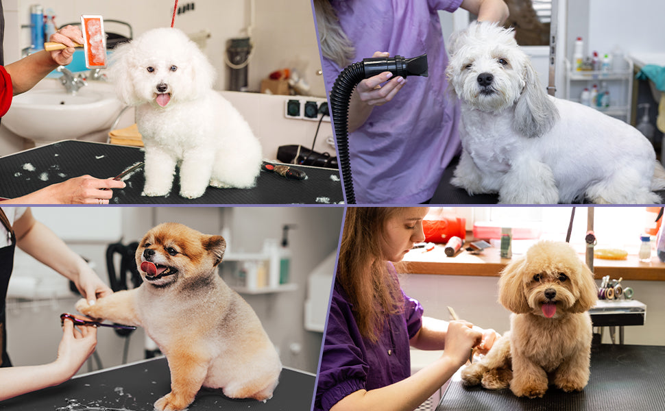 How Dog Groomers Can Keep Dogs Quiet - 5 Expert Tips
