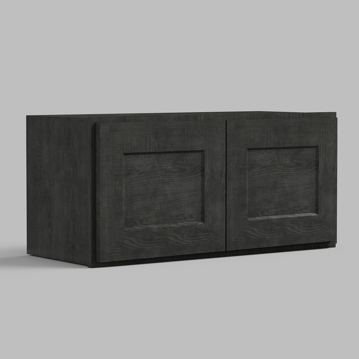 W Series Wall Cabinet with 2 Doors and no shelf