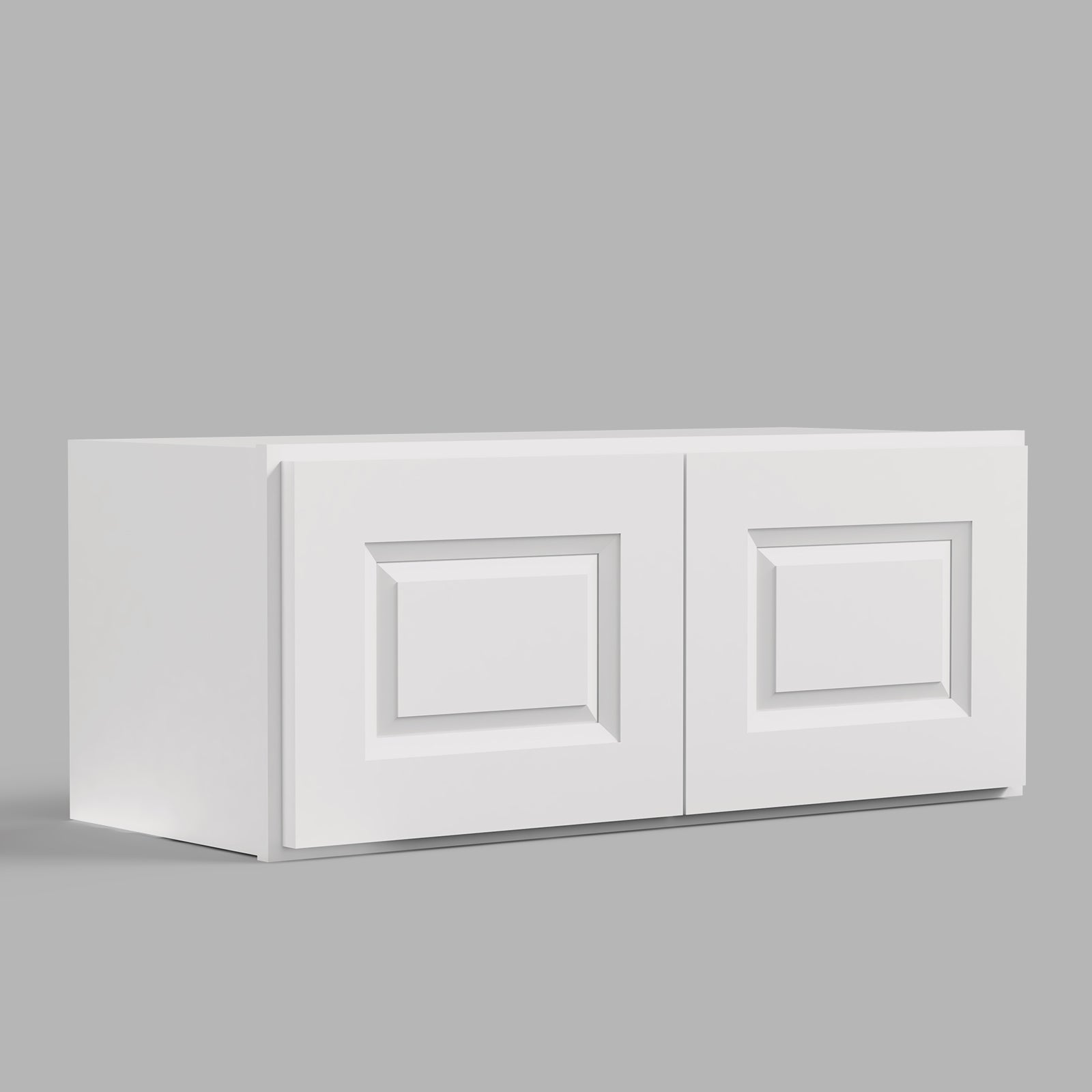 W Series Wall Cabinet with 2 Doors and no shelf