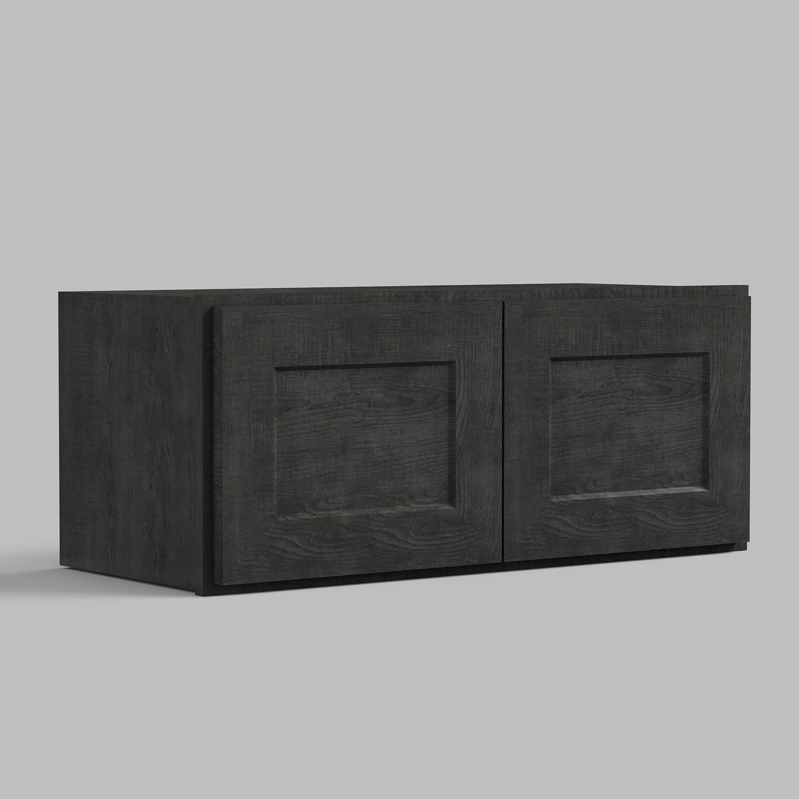 W Series Wall Cabinet with 2 Doors and no shelf