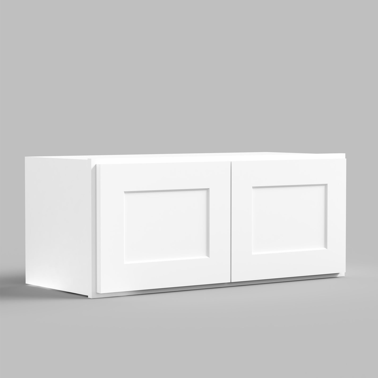 W Series Wall Cabinet with 2 Doors and no shelf