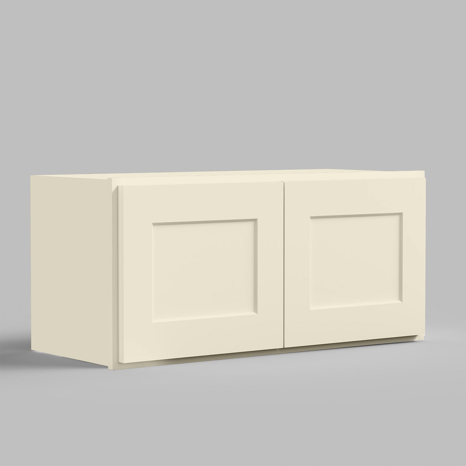 W Series Wall Cabinet with 2 Doors and no shelf