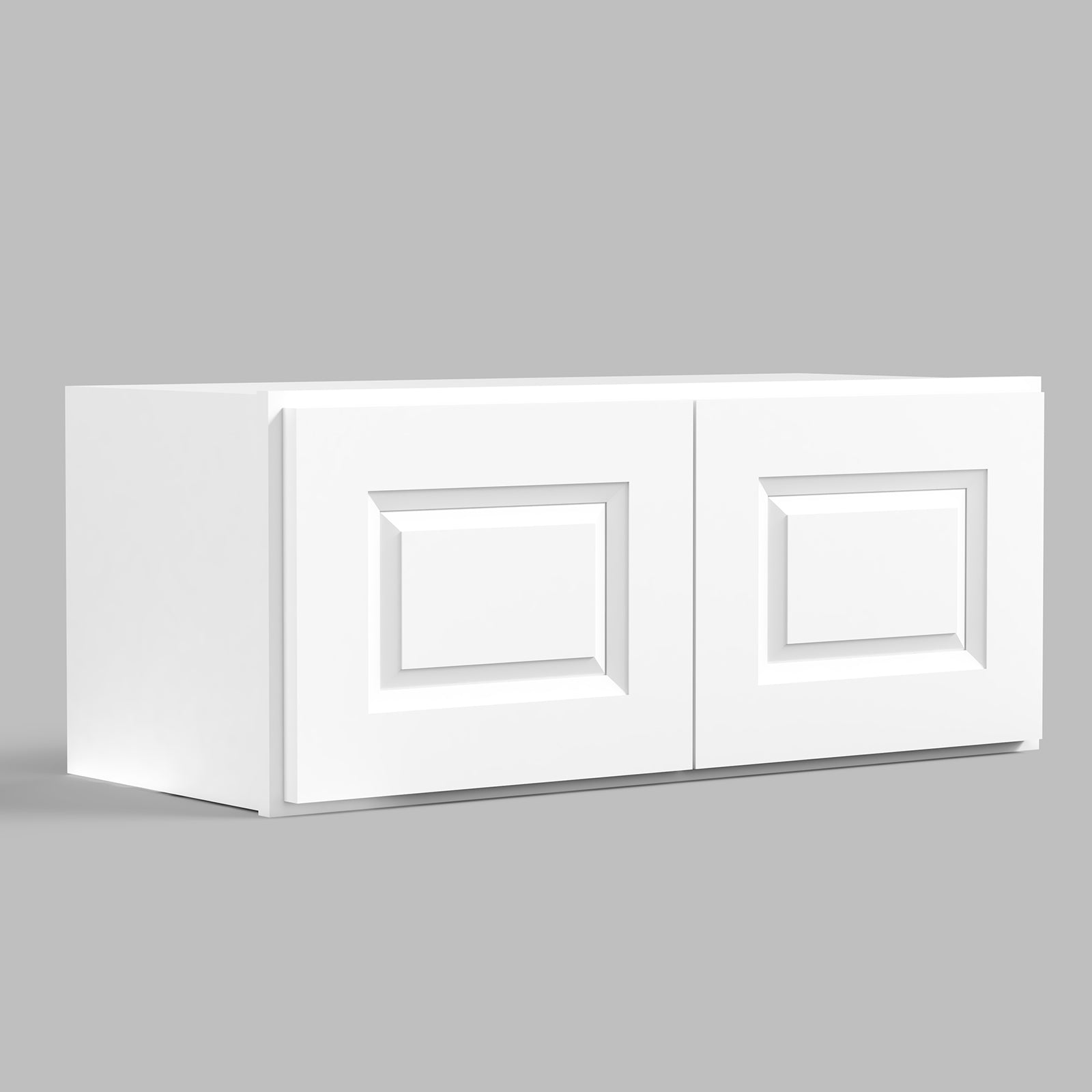 W Series Wall Cabinet with 2 Doors and no shelf