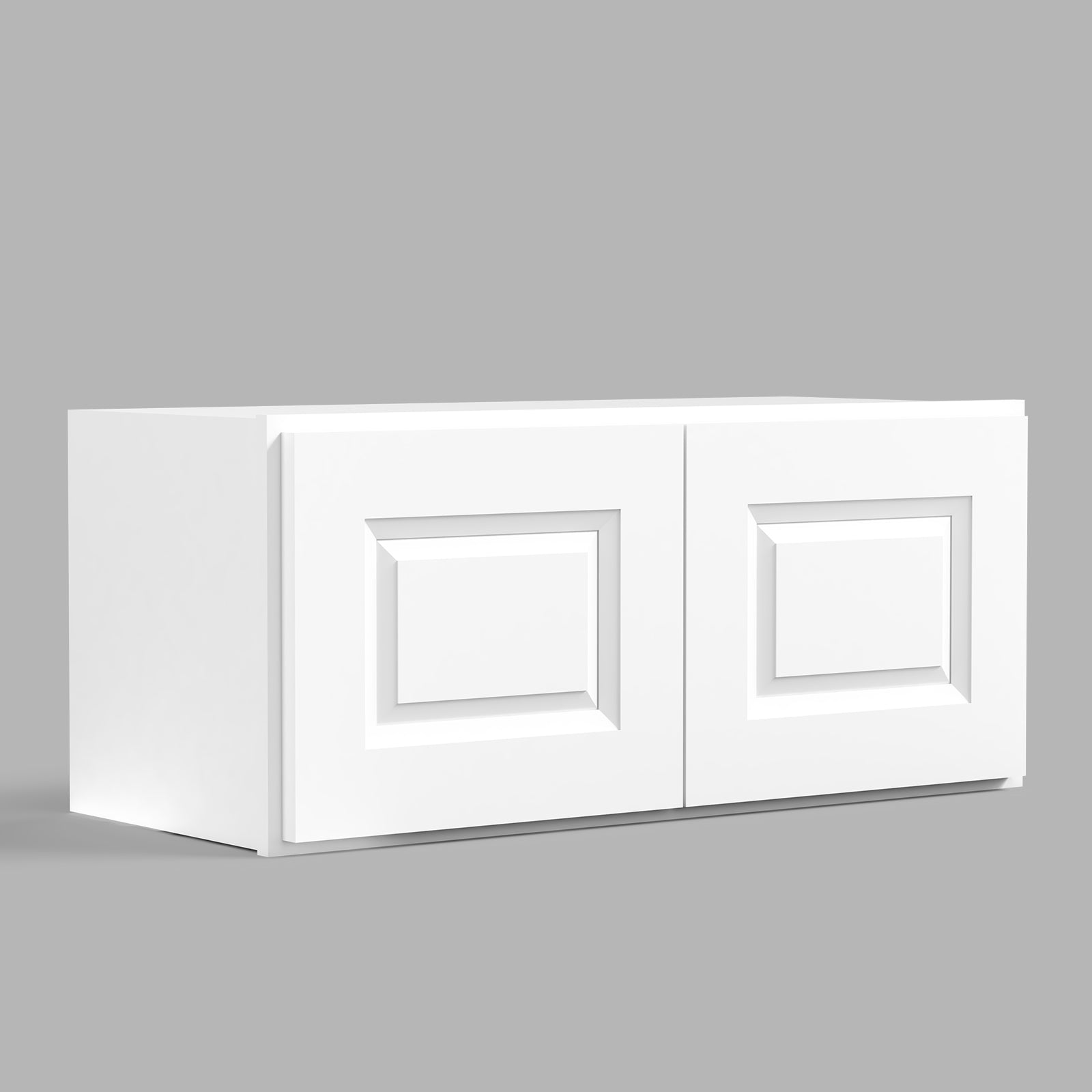 W Series Wall Cabinet with 2 Doors and no shelf