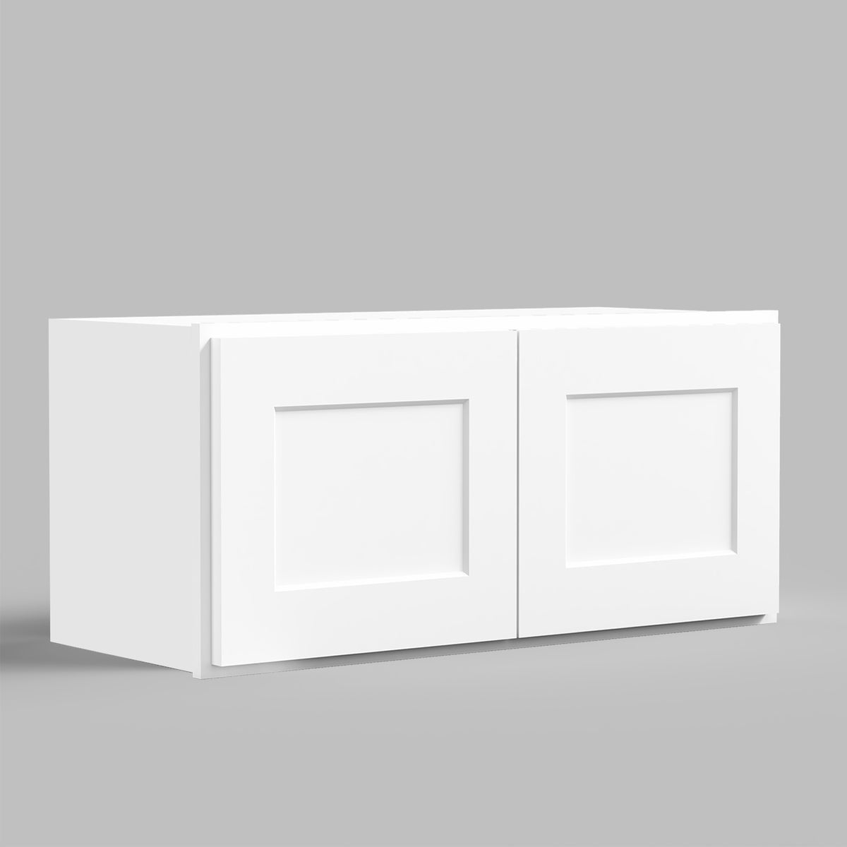 W Series Wall Cabinet with 2 Doors and no shelf