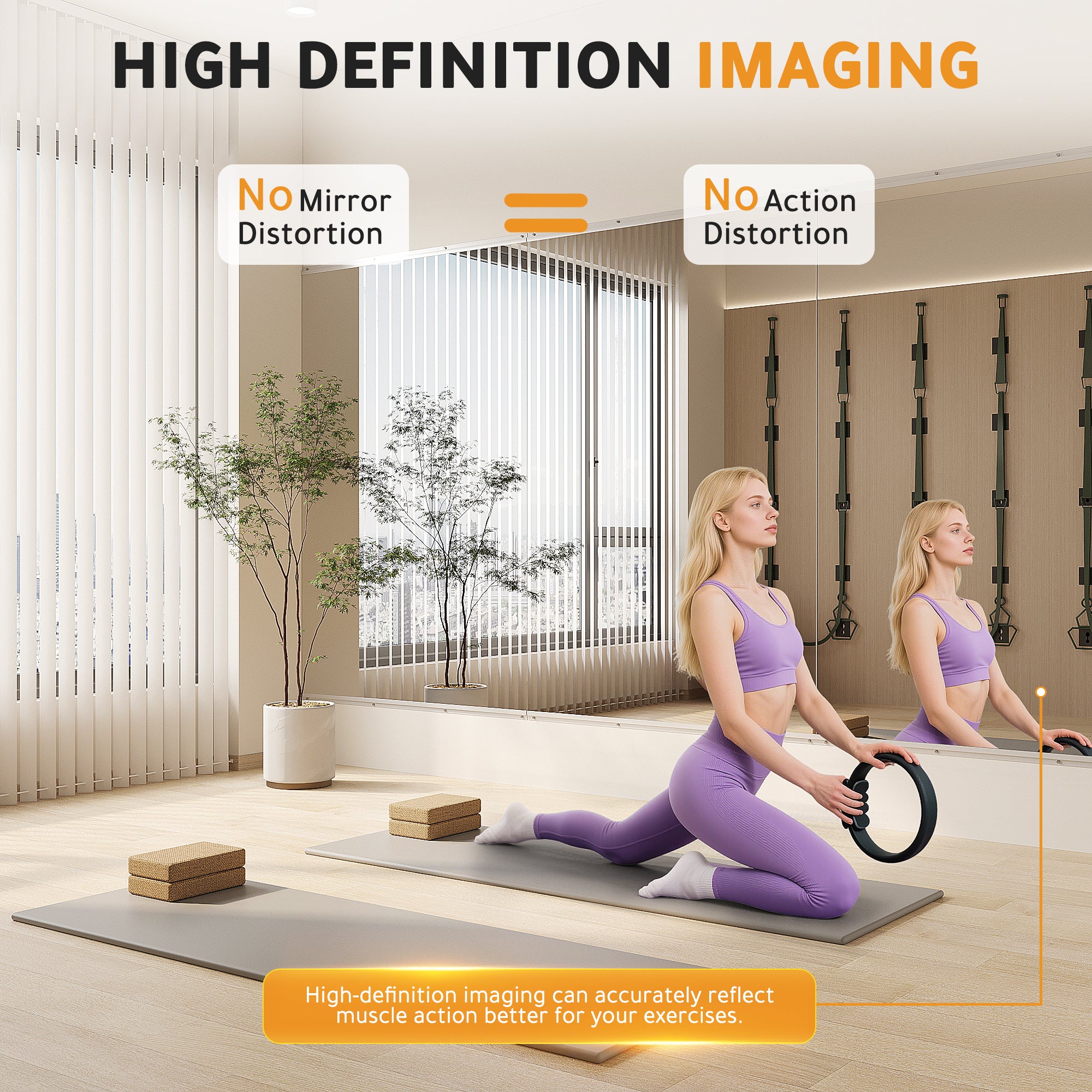 Workout Mirrors for Home Gym 60"x26"