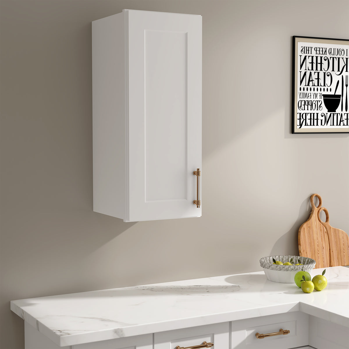 W Series Wall Cabinet with 1 Door and shelves-4