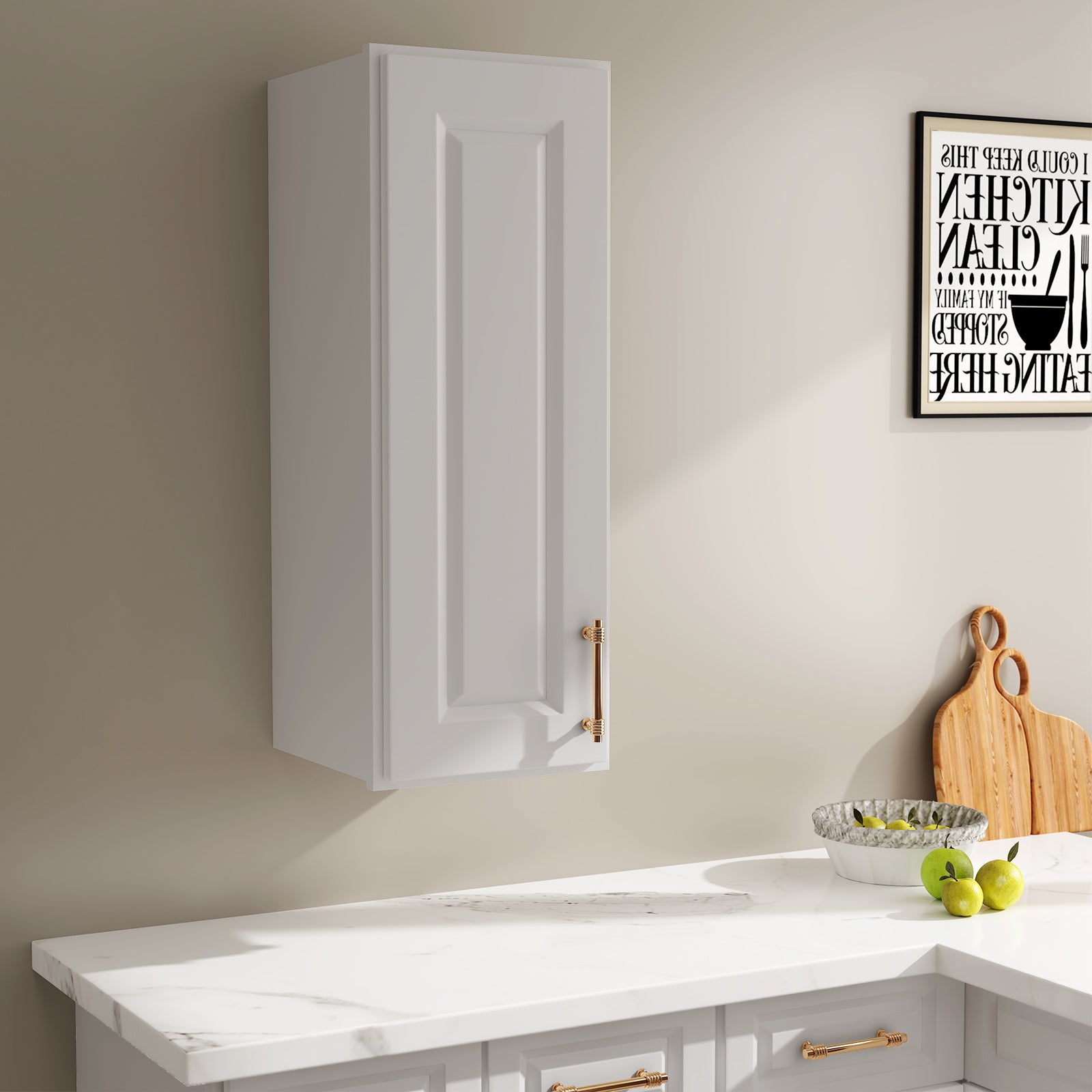 W Series Wall Cabinet with 1 Door and shelves-5
