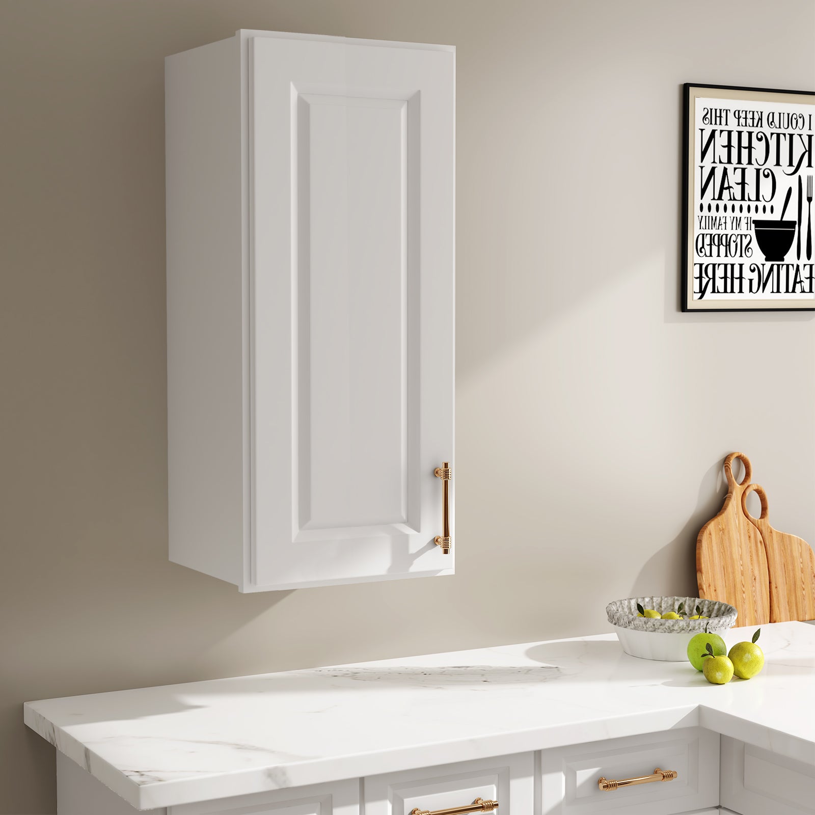 W Series Wall Cabinet with 1 Door and shelves-5