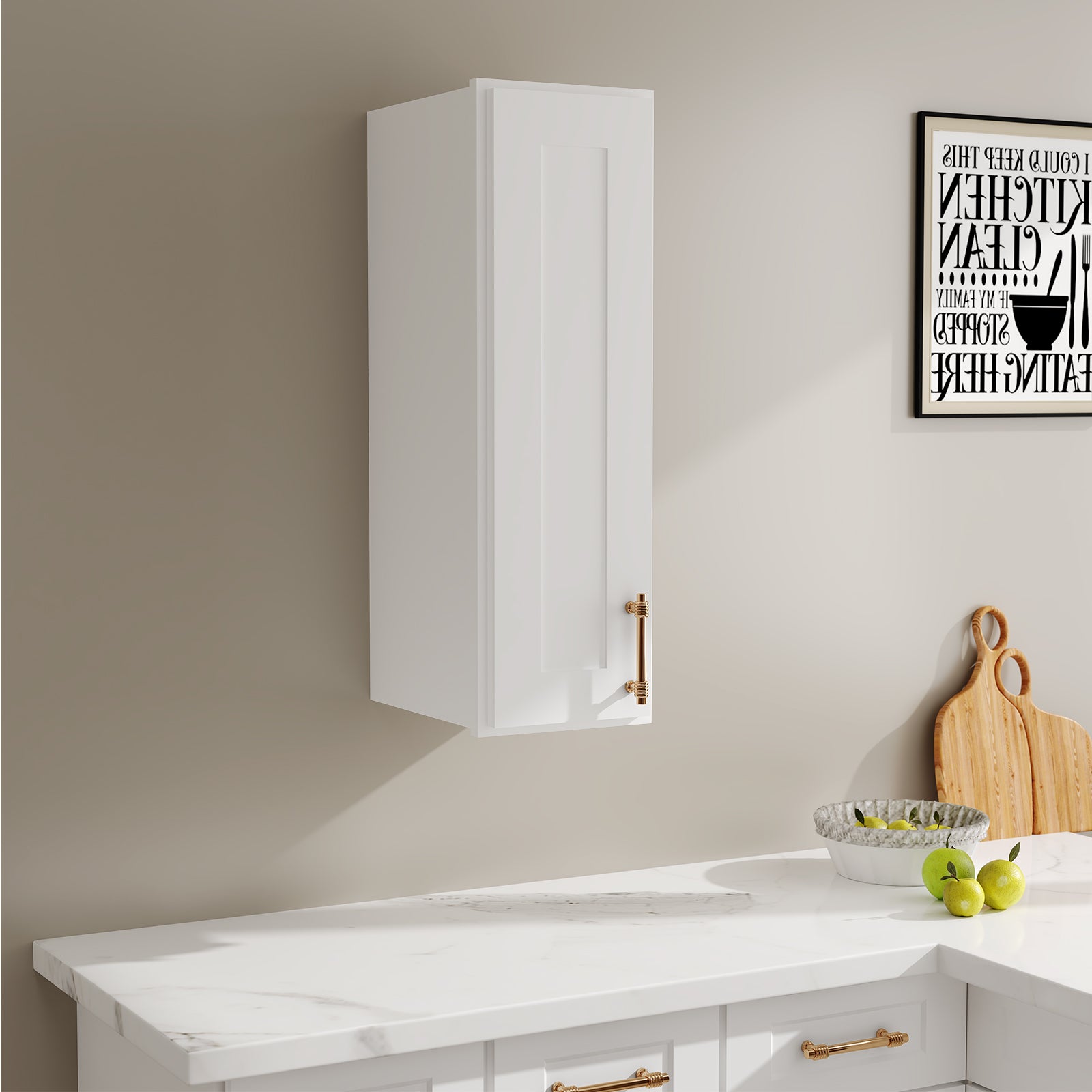 W Series Wall Cabinet with 1 Door and shelves-4