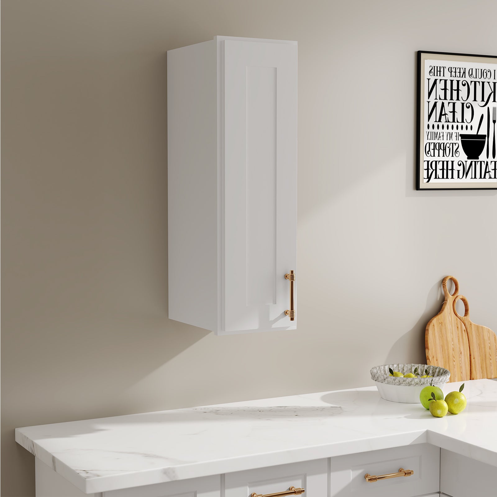 W Series Wall Cabinet with 1 Door and shelves-4