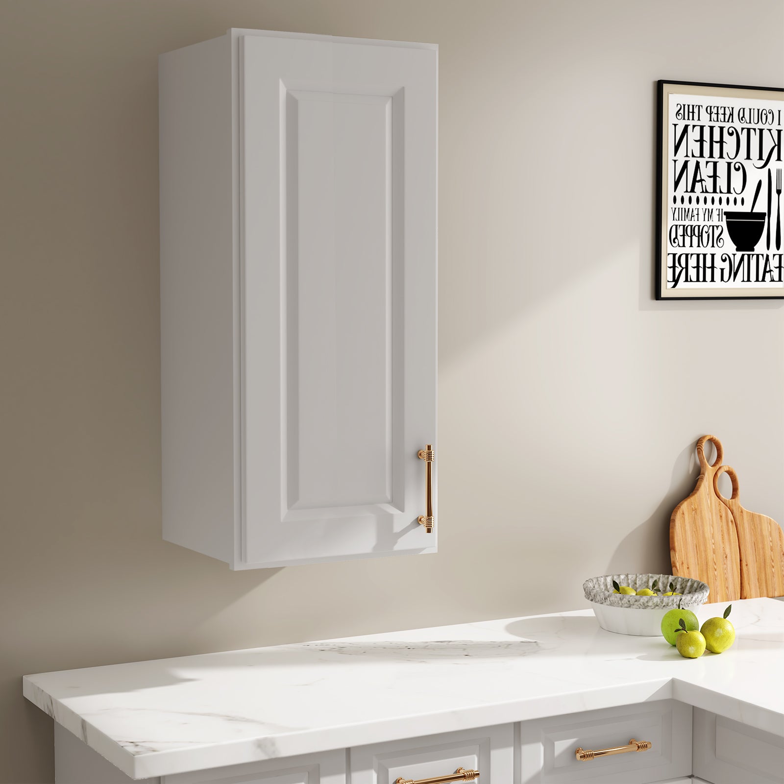 W Series Wall Cabinet with 1 Door and shelves-5