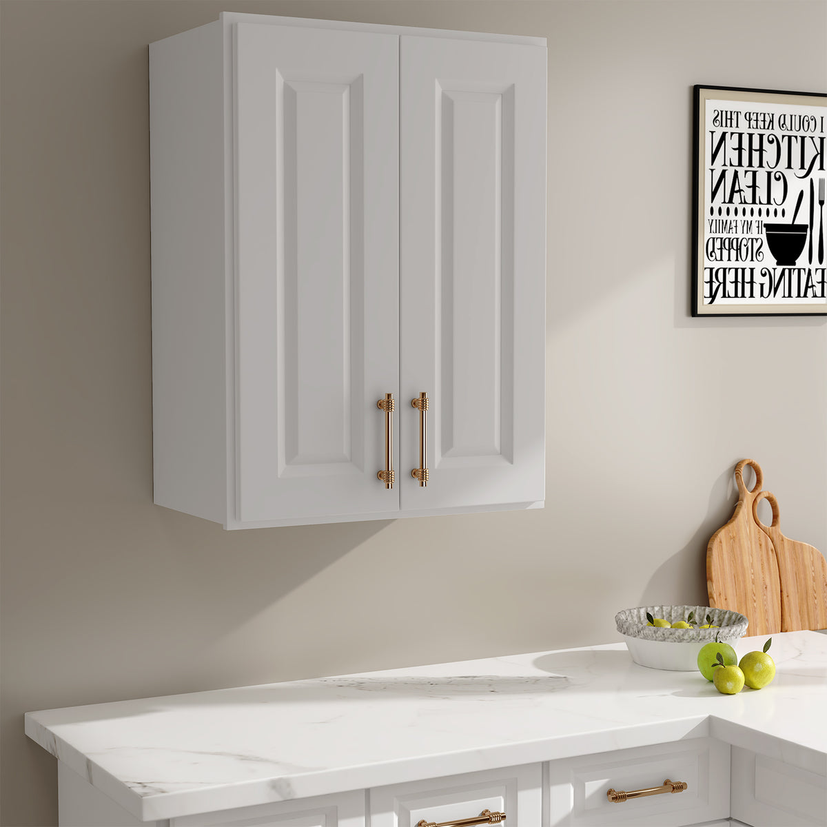 W Series Wall Cabinet with 2 Doors and shelves-5