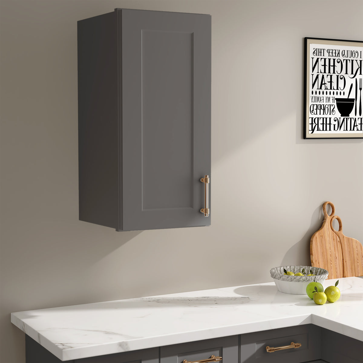 W Series Wall Cabinet with 1 Door and shelves-4