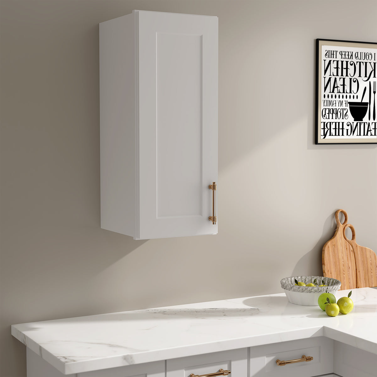 W Series Wall Cabinet with 1 Door and shelves-4