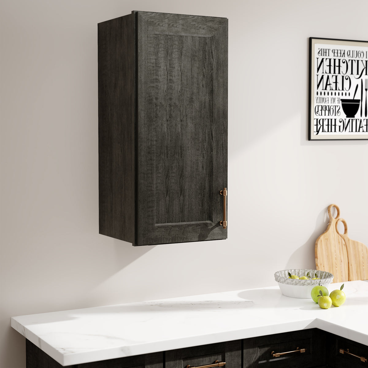 W Series Wall Cabinet with 1 Door and shelves-5